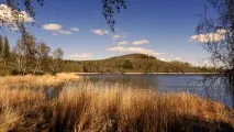карагайкуль
