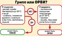 Відмінності грипу, ГРЗ, ГРВІ відмінності