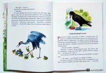Полювання за метеликом, Пришвін Михайло Михайлович метеликом