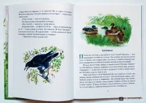 Полювання за метеликом, Пришвін Михайло Михайлович пришвін