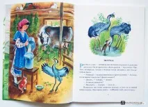 Полювання за метеликом, Пришвін Михайло Михайлович метеликом