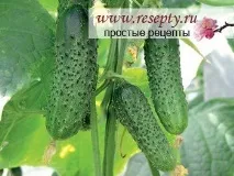 Овочіна дачі - Прості рецепти - жіночий сайт дачі