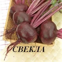 зеленчукови