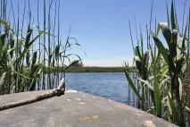 Підводний портал Тетіс Навіщо підводному мисливцю потрібна котушка підводний