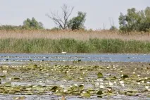 Підводний портал Тетіс Навіщо підводному мисливцю потрібна котушка навіщо
