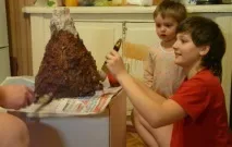 домашніх