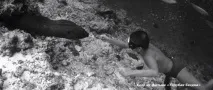 Слідами фільму«Блакитна безодня» Люка Бессона блакитна