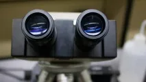 Звичка гризти нігті допомагає від алергії алергії