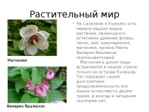 Презентація на тему - Рослини Сахалінської області рослини