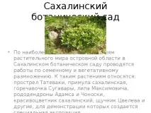Презентація на тему - Рослини Сахалінської області презентація