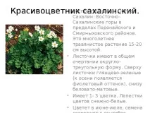 Презентація на тему - Рослини Сахалінської області презентація