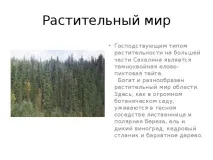 Презентація на тему - Рослини Сахалінської області рослини