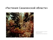 Презентація на тему - Рослини Сахалінської області рослини
