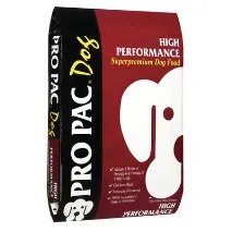 performance