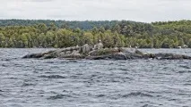 myoutdoors