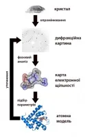 прекрасен