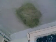 Ремонт стелі стелю