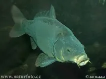 Рибалка на Уралі рибалка