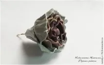 Троянди зі шкіри троянди