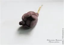Троянди зі шкіри шкіри