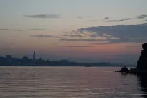 види