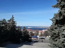 види