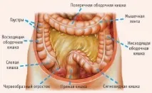 Які симптоми виникають при хворобі кишківника хворобі