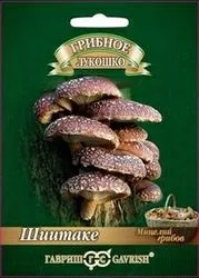 Шіїтаке на деревній паличці гливи