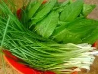 Щавель, цибуля, ревінь, спаржа – багаторічні мешканці городу цибуля