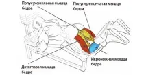 ноги