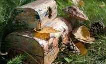 Скринька в техніці золочення поталлю - покроковий майстер-клас скринька