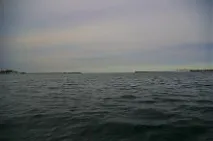 мовляв
