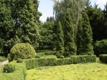 Сирецький дендропарк парку