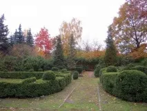 Сирецький дендропарк сирецький
