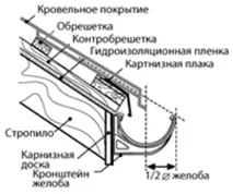 дъждовна