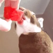 його