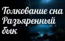Сонник 🌛 розлючений бик приснився до чого сниться розлючений бик уві сні - тлумачення снів приснився