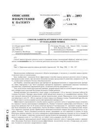хірургічного