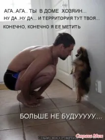 война