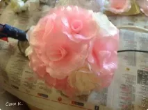 пелюстків