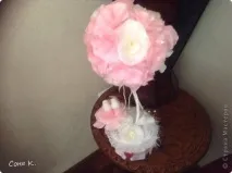 пелюстків