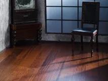 порід