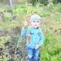 Як ми зустрічали Новий рік новий