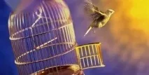 Як виявити підсвідомі переконання Психологія Таємниче підсвідомі