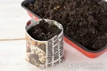 Як виготовити одноразові горщики для вирощування розсади з підручних матеріалів - Коло знань виготовити