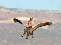 жарти