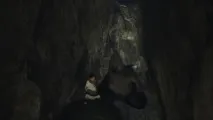 The Last Guardian Шокуюча правда про Трико guardian
