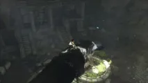 The Last Guardian Шокуюча правда про Трико guardian
