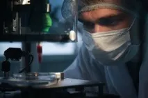 Вчені вперше схрестили людину та свинюукраїнська газета свинюукраїнська