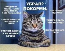 твоє